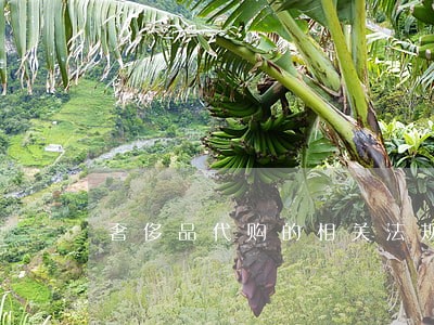 奢侈品代购的相关法规 奢侈品代购的相关法规