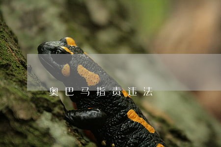 奥巴马指责违法 奥巴马指责违法