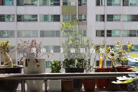 奥迪a3逾期的图片 奥迪a3逾期的图片