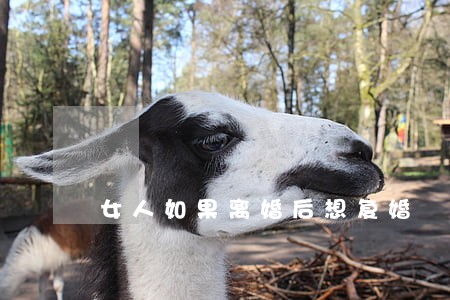 女人如果离婚后想复婚 女人如果离婚后想复婚