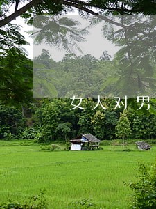 女人对男人提离婚男人没有反应 女人对男人提离婚男人没有反应