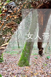女人带着孩子离婚三年了想再婚 女人带着孩子离婚三年了想再婚