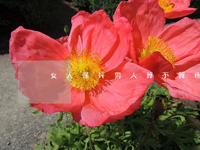 女人强奸男人算不算违法 女人强奸男人算不算违法