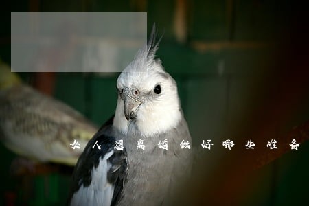 女人想离婚做好哪些准备 女人想离婚做好哪些准备