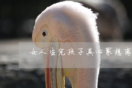 女人生完孩子真心累想离婚 女人生完孩子真心累想离婚