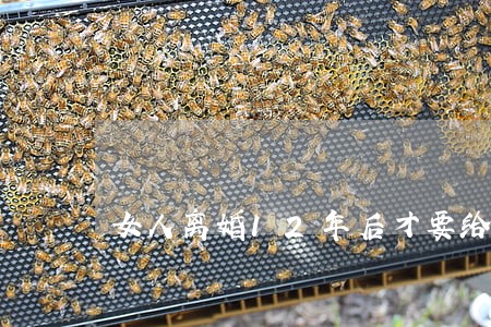 女人离婚12年后才要给孩子钱 女人离婚12年后才要给孩子钱
