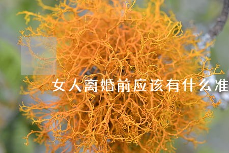 女人离婚前应该有什么准备 女人离婚前应该有什么准备