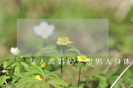女人离婚后会想男人身体吗 女人离婚后会想男人身体吗