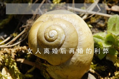 女人离婚后再婚的利弊 女人离婚后再婚的利弊