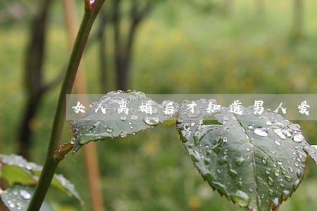 女人离婚后才知道男人爱她 女人离婚后才知道男人爱她