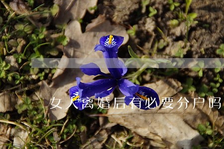 女人离婚后有必要分户吗 女人离婚后有必要分户吗