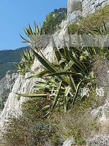 女人离婚带女儿还是带儿子好 女人离婚带女儿还是带儿子好