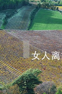 女人离婚带娃还有人要吗 女人离婚带娃还有人要吗