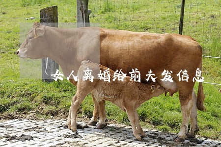 女人离婚给前夫发信息 女人离婚给前夫发信息
