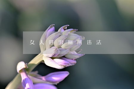女人进男厕所违法 女人进男厕所违法