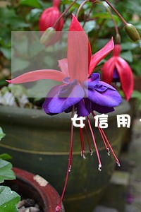 女信用卡逾期 女信用卡逾期