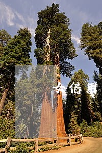 女信用卡逾期13个月 女信用卡逾期13个月