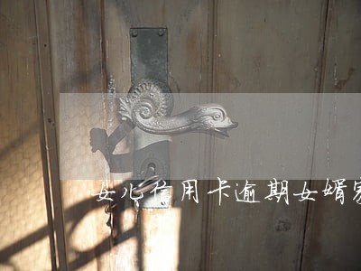 女儿信用卡逾期女婿家不管