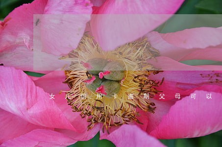 女儿信用卡逾期父母可以去吗