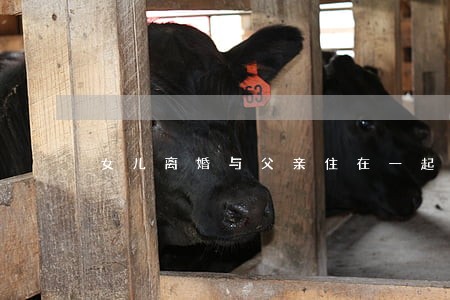 女儿离婚与父亲住在一起 女儿离婚与父亲住在一起