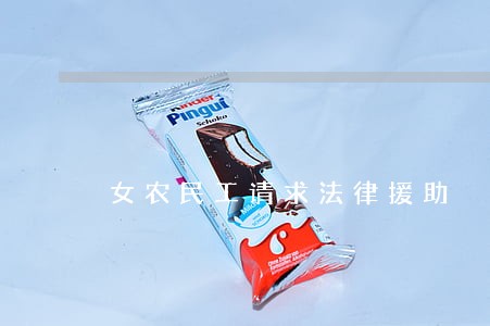 女农民工请求法律援助