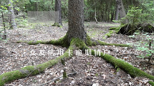 女友信用卡逾期销户 女友信用卡逾期销户