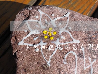 女司机违法鸣笛发圈集赞免处罚 女司机违法鸣笛发圈集赞免处罚