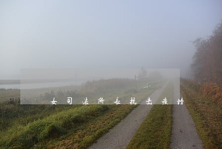 女司法所长抗击疫情 女司法所长抗击疫情