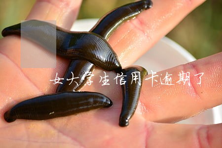 女大学生信用卡逾期了