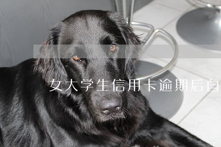 女大学生信用卡逾期后自救 女大学生信用卡逾期后自救