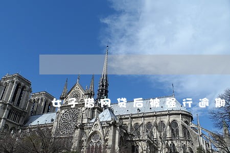 女子借网贷后被强行逾期