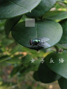女子反悔诉讼被驳回 女子反悔诉讼被驳回