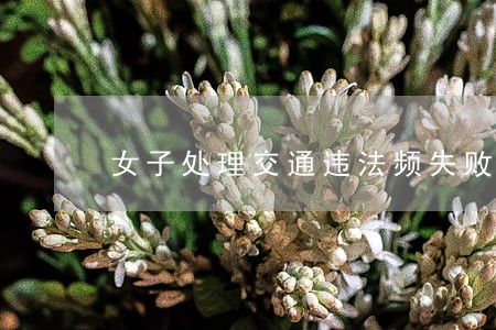女子处理交通违法频失败 女子处理交通违法频失败