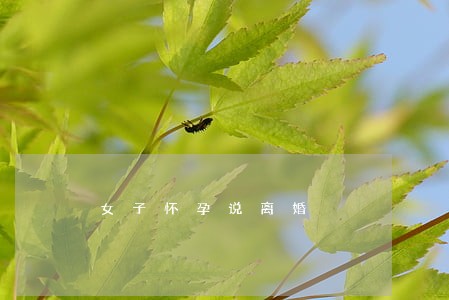 女子怀孕说离婚 女子怀孕说离婚