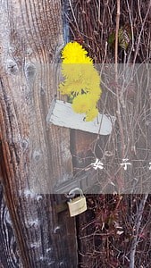 女子无故在违法处理大厅溜达 女子无故在违法处理大厅溜达