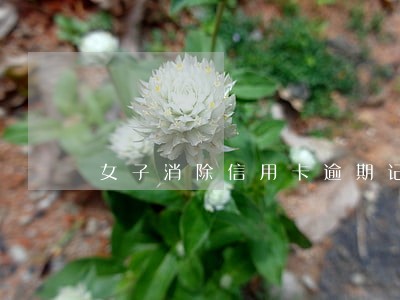 女子消除信用卡逾期记录 女子消除信用卡逾期记录