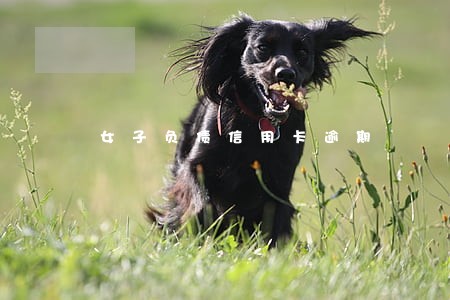女子负债信用卡逾期 女子负债信用卡逾期