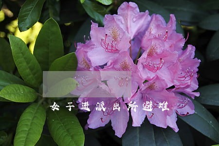 女子进派出所避难 女子进派出所避难