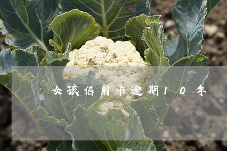女孩信用卡逾期10年 女孩信用卡逾期10年