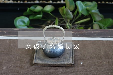 女孩子离婚协议 女孩子离婚协议