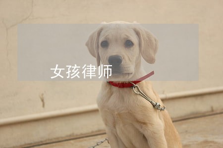 女孩律师 女孩律师