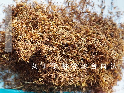 女工孕期劳动合同法 女工孕期劳动合同法