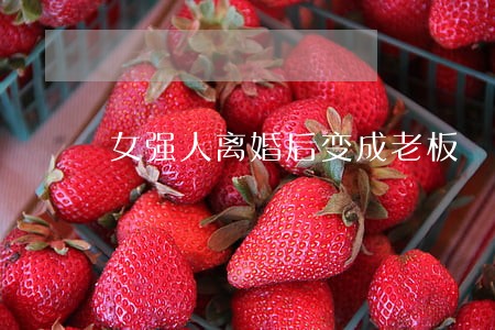 女强人离婚后变成老板 女强人离婚后变成老板