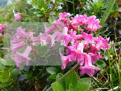 女强男弱要离婚怎样劝和