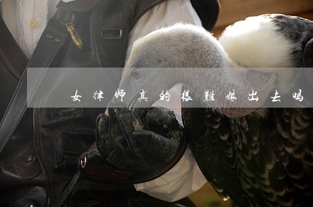女律师真的很难嫁出去吗 女律师真的很难嫁出去吗