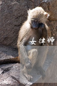 女律师车祸事故身亡 女律师车祸事故身亡