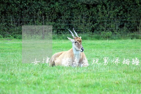 女律师醒来发现男保姆睡床上愣了 女律师醒来发现男保姆睡床上愣了