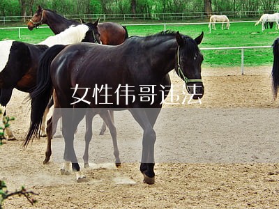 女性伟哥违法 女性伟哥违法