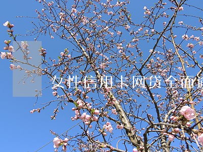 女性信用卡网贷全面逾期 女性信用卡网贷全面逾期