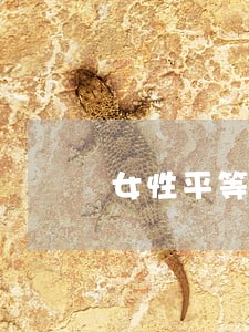 女性平等就业的行政法律保障探析 女性平等就业的行政法律保障探析